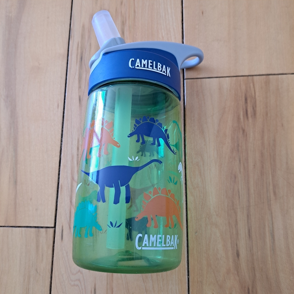 Dinosaur CAMELBAK EDDY+ 400ml NEW BITE VALVE Kids Water Bottle